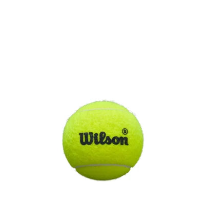 Cajón de Bolas Wilson Premier Padel Speed 24 Botes